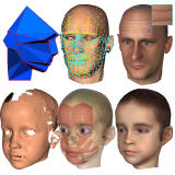 Headshop: Generating animated head models with anatomical structure(9548bytes)